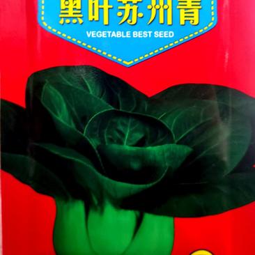 黑叶苏州青菜种子，外形优美，抗性好，商品性佳