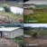 猕猴桃园生态基地新鲜猕猴桃预售开始即将成熟挂果
