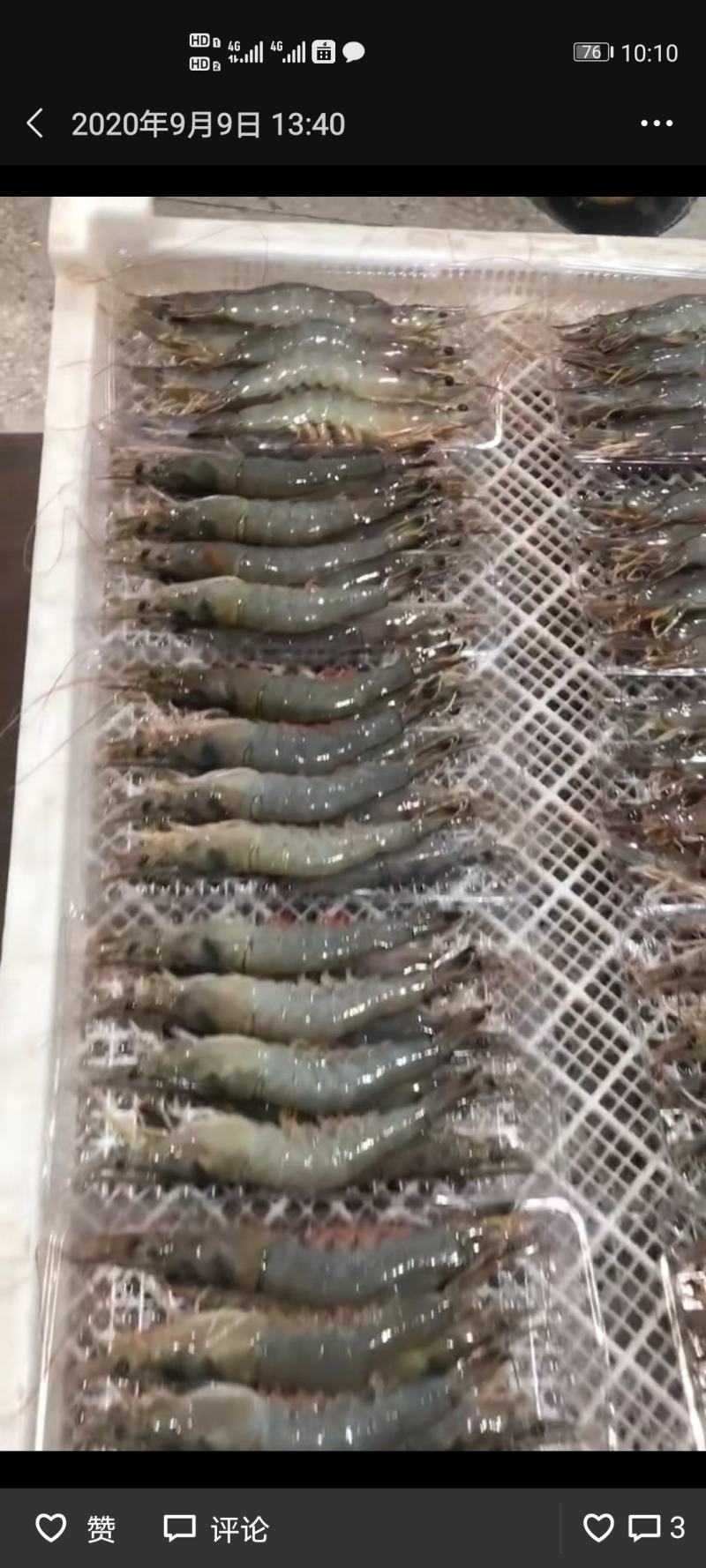 代收养殖梭子蟹，中国对虾，海蜇成品，烘干虾，冰鲜，活虾，
