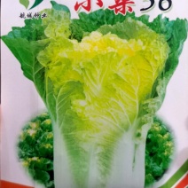 早熟小杂56白菜种子，外叶绿色，心叶黄色