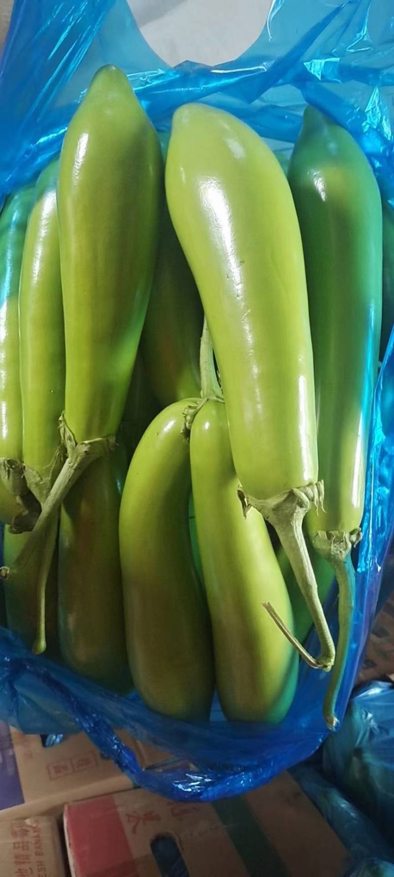 南通宝丽欣蔬菜有限