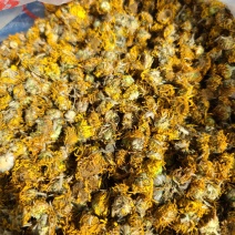 璇覆花野生高含量