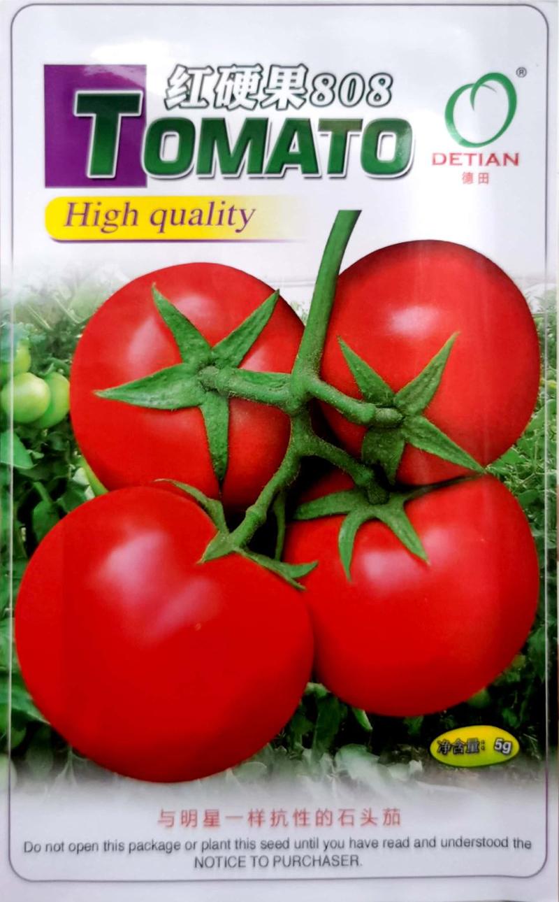 红硬果808番茄种子，耐裂果，皮硬肉厚，品质特优购买联系
