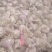 河南大蒜大蒜头十足干蒜头