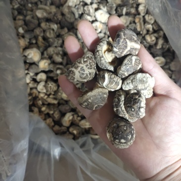2023随州随县干香菇茶花菇冬菇产地直销规格型号齐全
