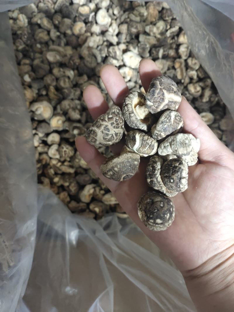 2023随州随县干香菇茶花菇冬菇产地直销规格型号齐全