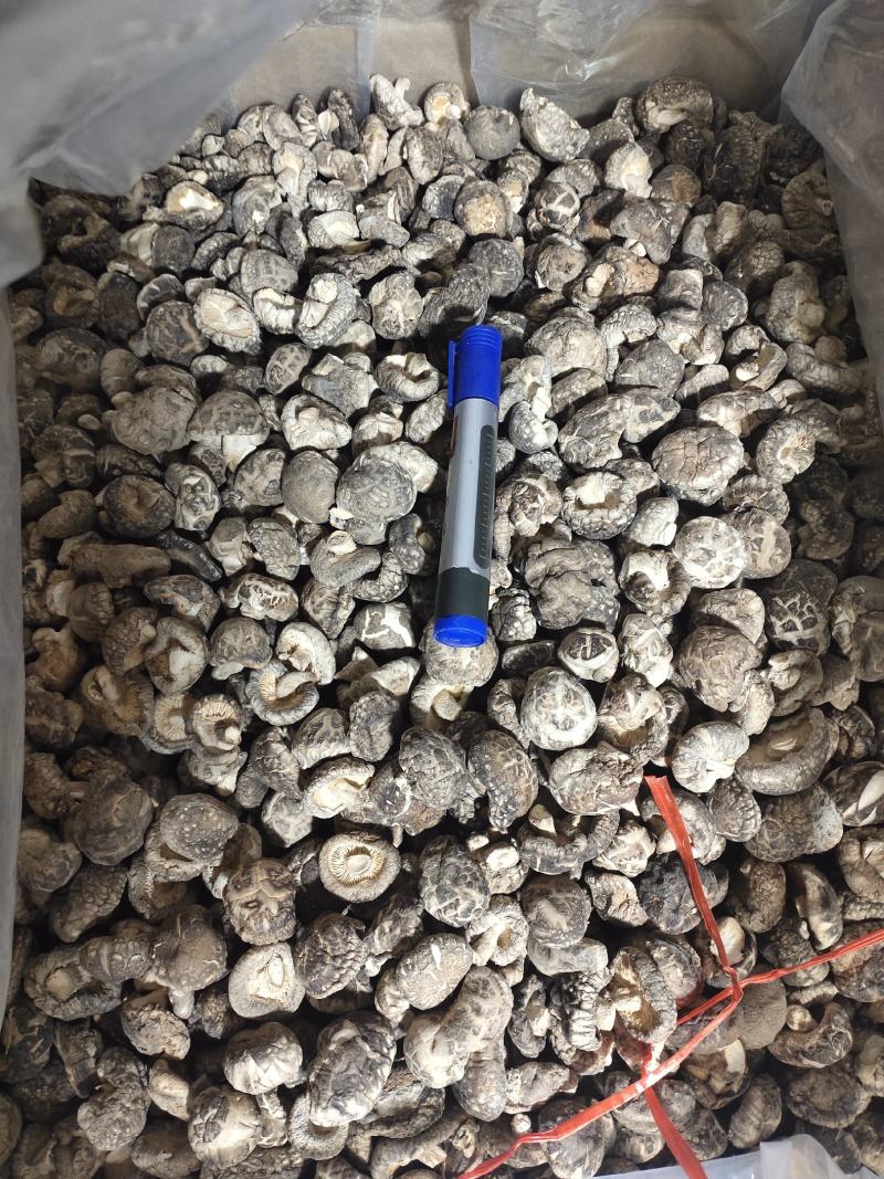 2023随州随县干香菇茶花菇冬菇产地直销规格型号齐全