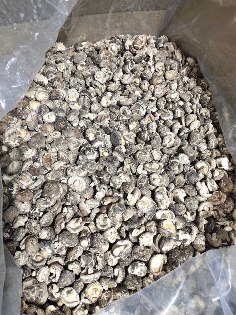 2023随州随县干香菇茶花菇冬菇产地直销规格型号齐全