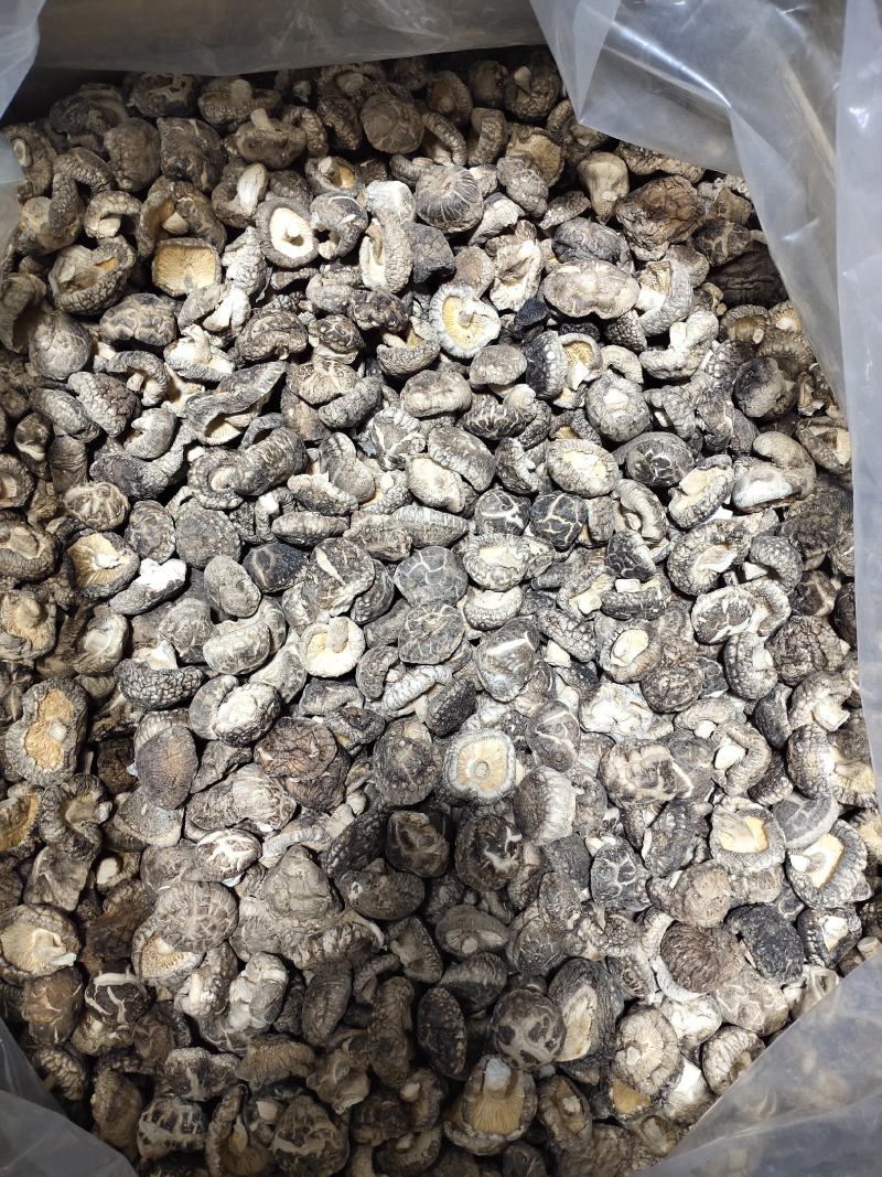 2023随州随县干香菇茶花菇冬菇产地直销规格型号齐全