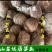 山东芋头毛芋头大量现货常年供应分级芋头芋头种子等