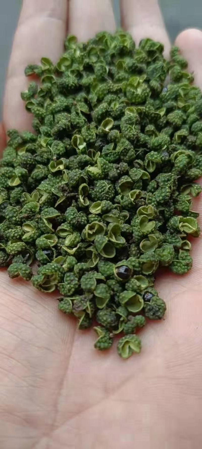 青花椒一手货源，量大从优，产地直销欢迎各位老板来买