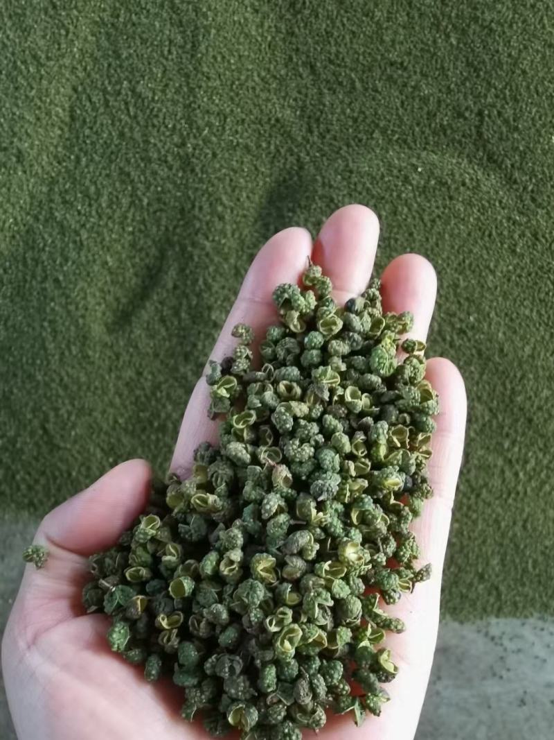 青花椒一手货源，量大从优，产地直销欢迎各位老板来买