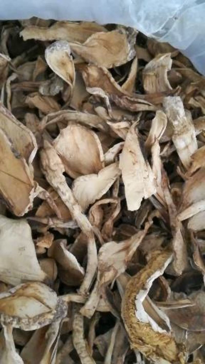 野生麻母鸡片，白罗伞，剥皮菌量大从优，货品实图拍摄
