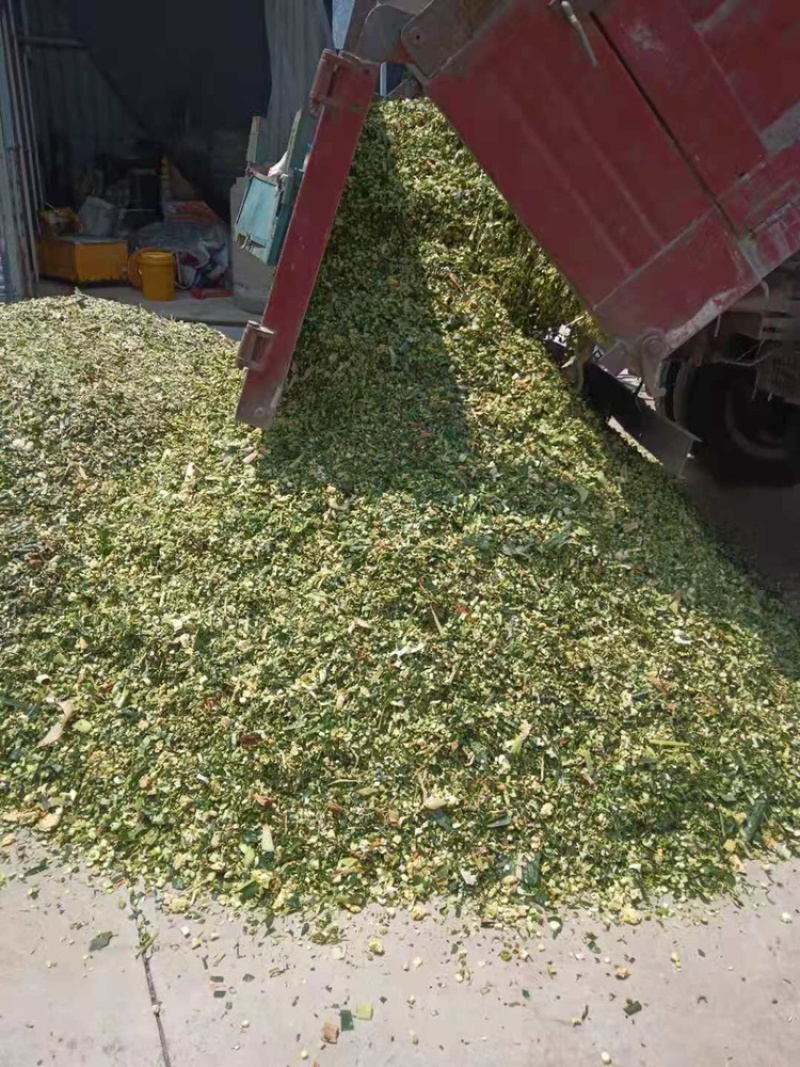 秸秆饲料牧草牛羊饲料玉米秸秆青贮青储