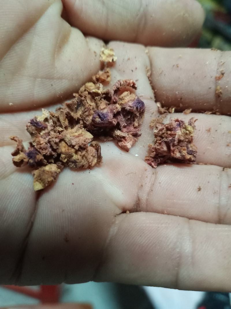 正宗海南黄花梨树，现货热售中。欢迎订购和实地看货。