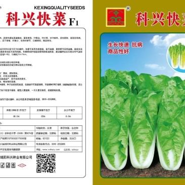 科兴速生小白菜庭院蔬菜阳台种菜盆栽青菜耐热耐寒四季快菜种