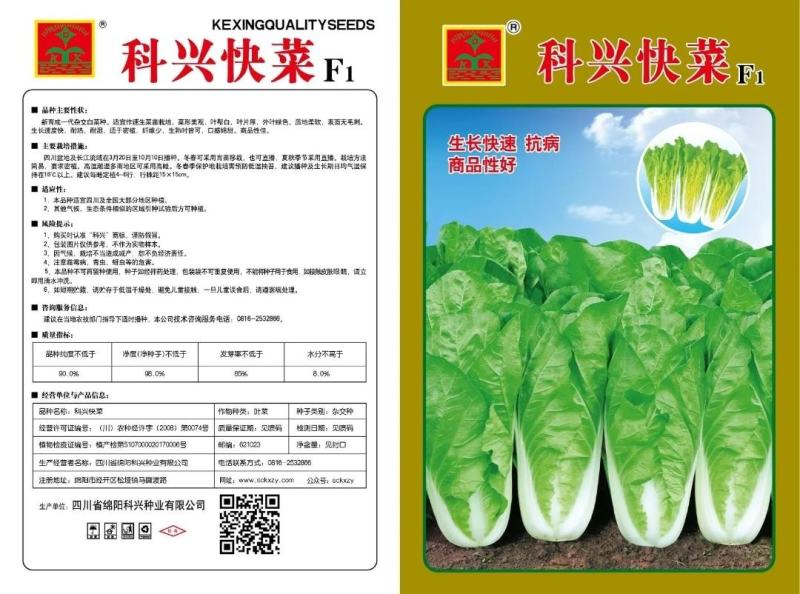 科兴速生小白菜庭院蔬菜阳台种菜盆栽青菜耐热耐寒四季快菜种