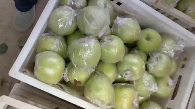 金帅苹果，膜袋，纸袋大量上市