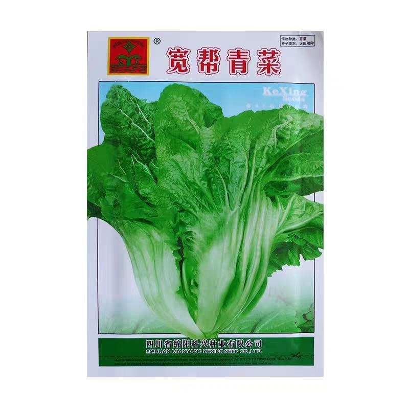 宽帮青菜种子耐寒包包菜腌渍泡菜酸菜鱼秋季四川特色芥菜种子