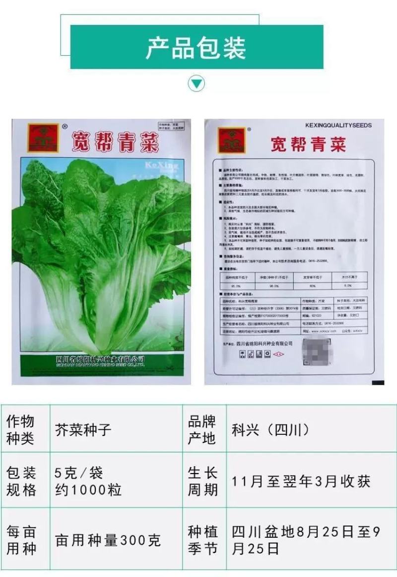 宽帮青菜种子耐寒包包菜腌渍泡菜酸菜鱼秋季四川特色芥菜种子