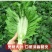 宽帮青菜种子耐寒包包菜腌渍泡菜酸菜鱼秋季四川特色芥菜种子
