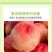 唐山水蜜桃桃应季新鲜水果多汁水果