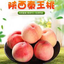 唐山水蜜桃桃应季新鲜水果多汁水果