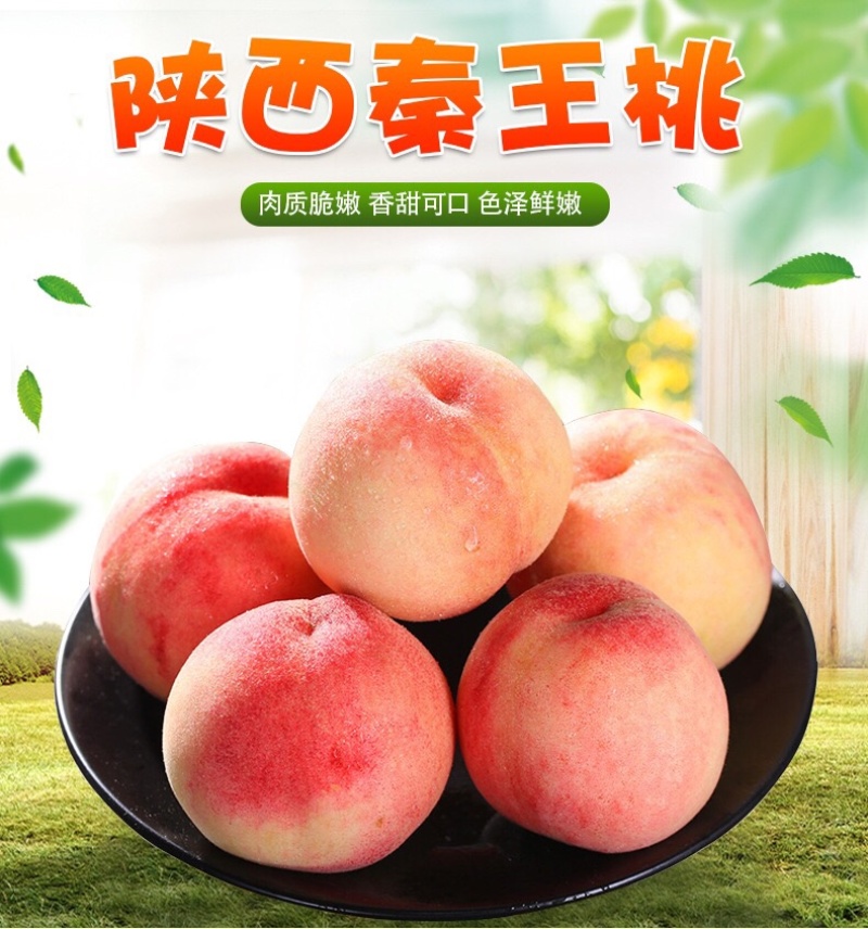 唐山水蜜桃桃应季新鲜水果多汁水果