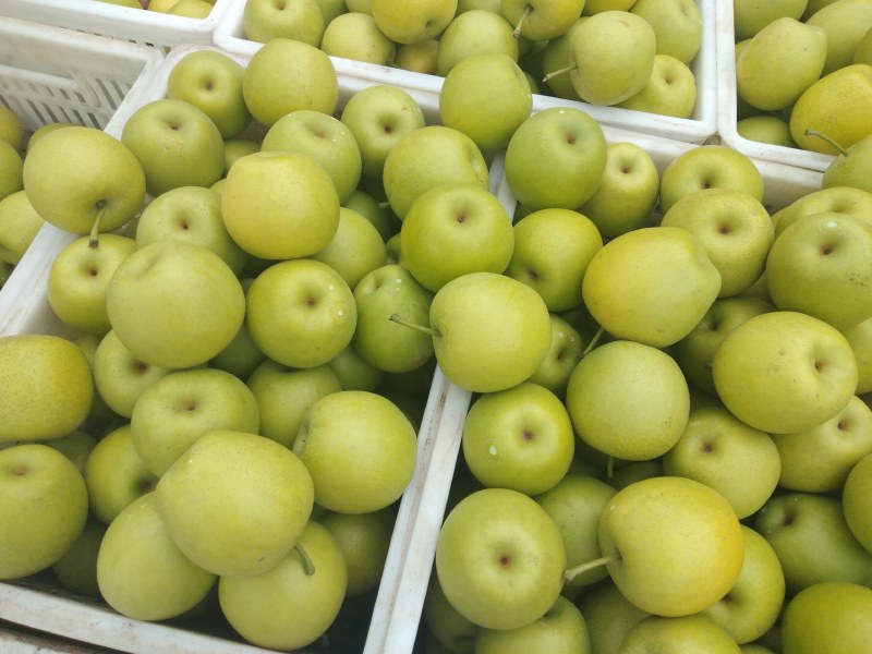 翠冠梨，300~500g，纸袋6两以上大上市货源充足