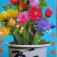 千手观音盆栽植物室内阳台绿植花卉山东仙人掌苗类千佛手多肉