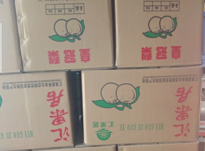 皇冠梨，300~500g，纸袋，冷库存放，商超对接l