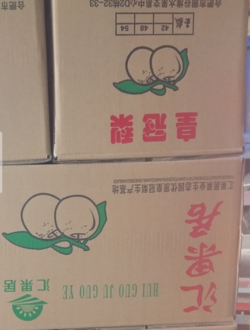皇冠梨，300~500g，纸袋，冷库存放，商超对接l