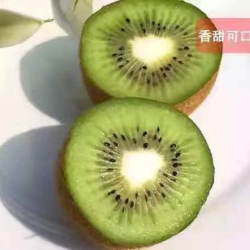 猕猴桃，品质好，价格低