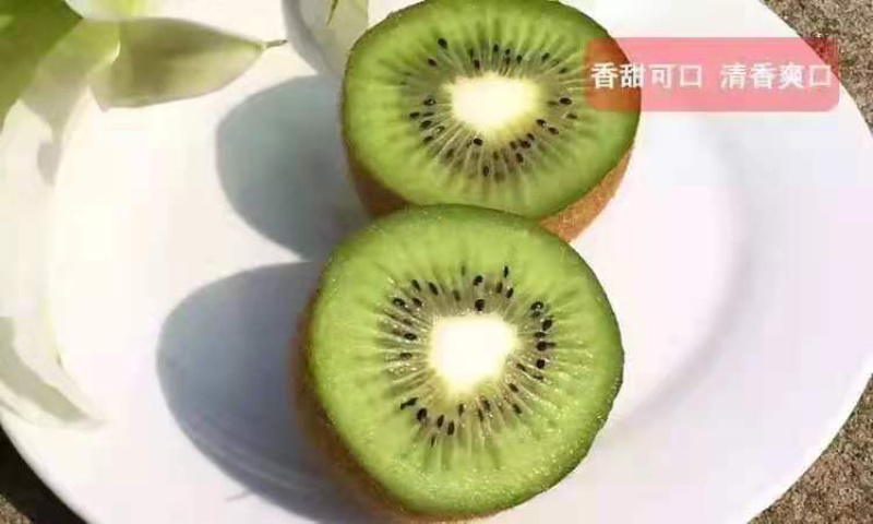 猕猴桃，品质好，价格低