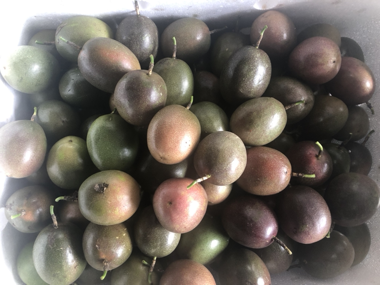 一家位于居民区附近的百香果专卖店,门头醒目写着‘新鲜百香果每日直达’,店内陈列整齐的果篮、果茶包、DIY工具套装,顾客正在选购,墙上贴有‘支持农户直供’宣传海报 百香果社区零售店实景图