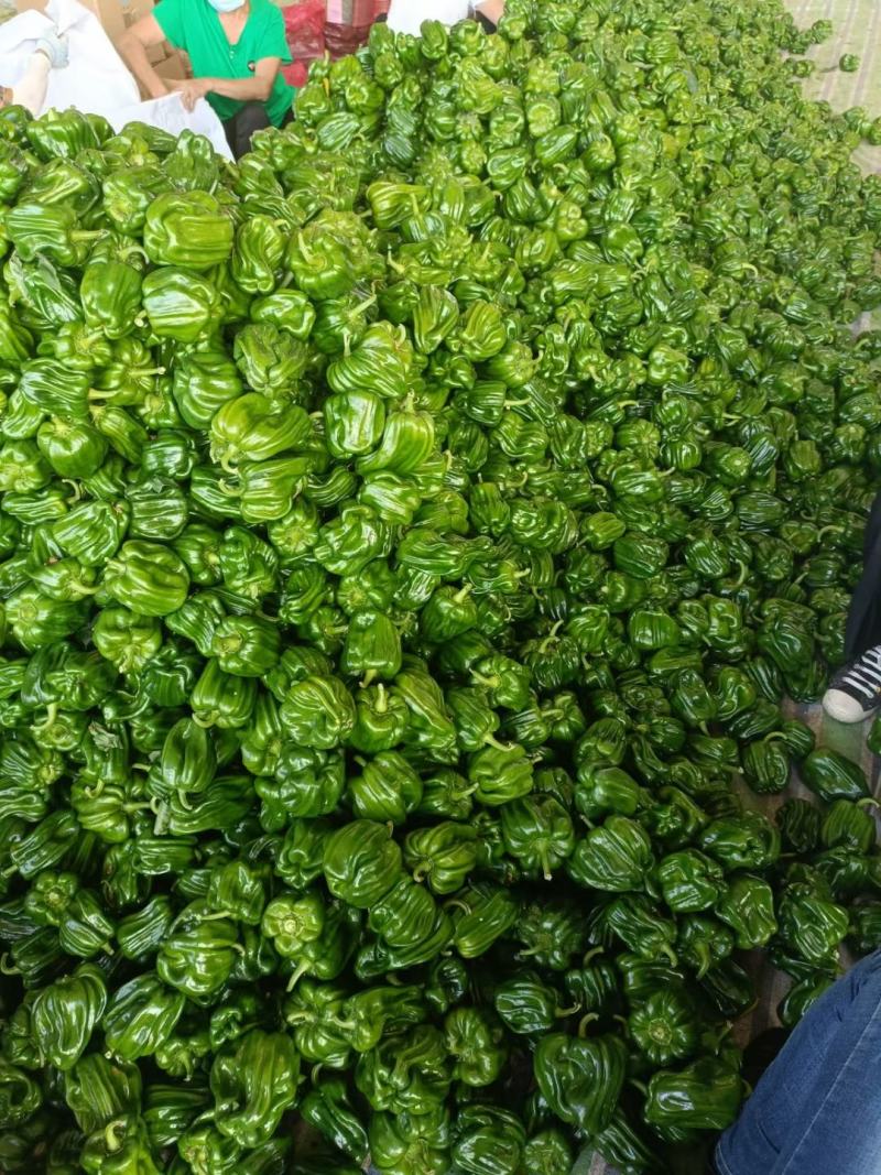 麻辣椒