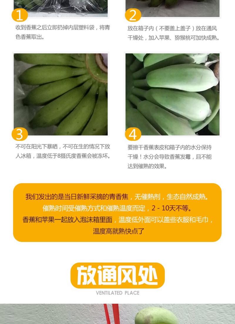 3/5/9斤广西小米蕉新鲜水果皇帝香蕉