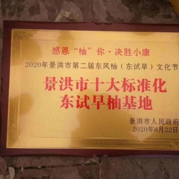 西双版纳东试早柚(傣柚)