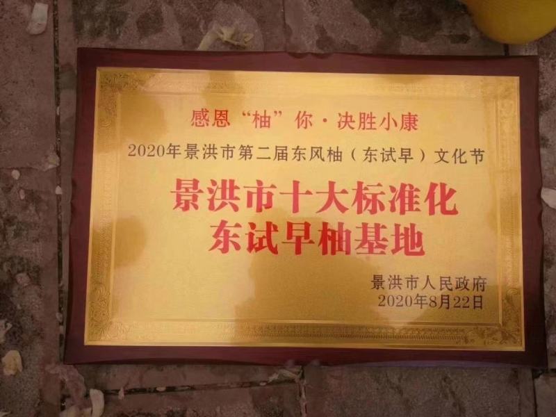 西双版纳东试早柚(傣柚)