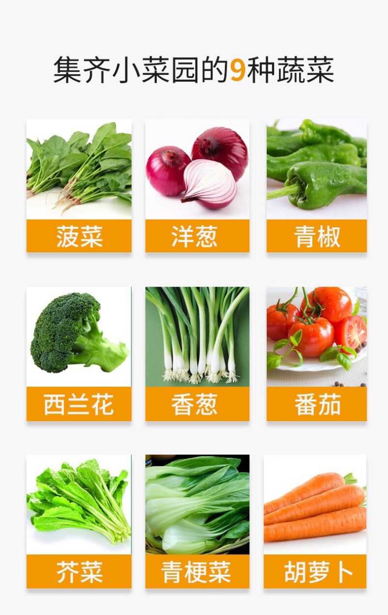 九蔬薄薄脆小饼几个装200g饼干
