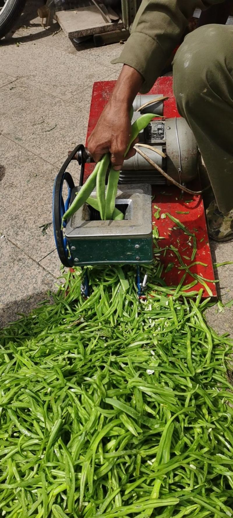 干豆角丝，油豆角丝，豆角丝，各种豆角丝。