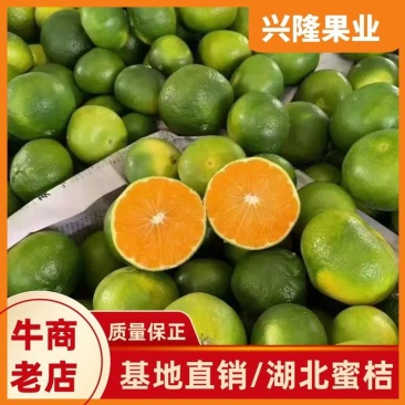 温州蜜橘口感甜，颜色好，产地直销，保质保量