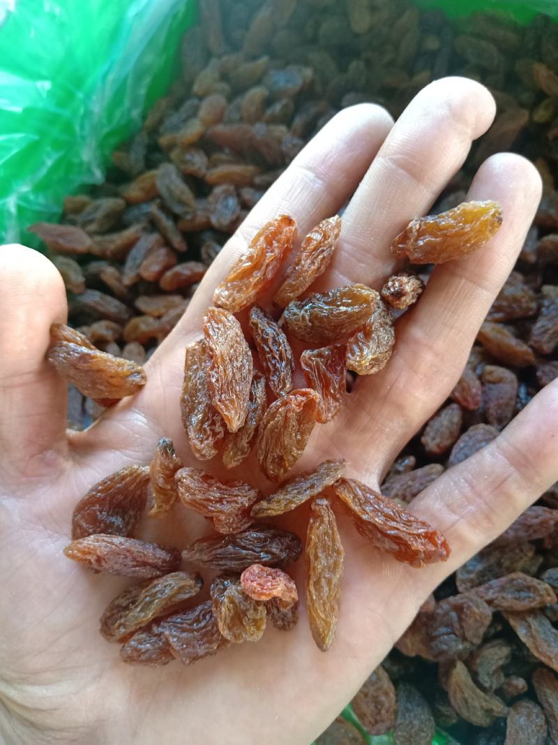 红香妃葡萄干新疆吐鲁番葡萄干大颗粒，中颗粒，小颗粒