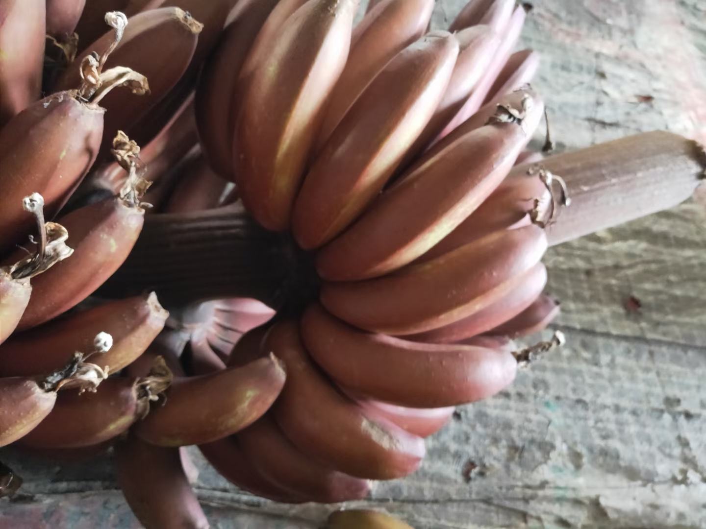 腐烂的香蕉特写