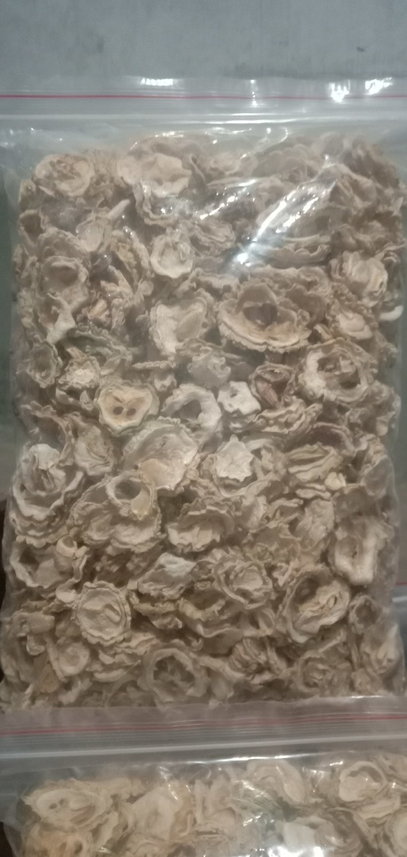 苦瓜片