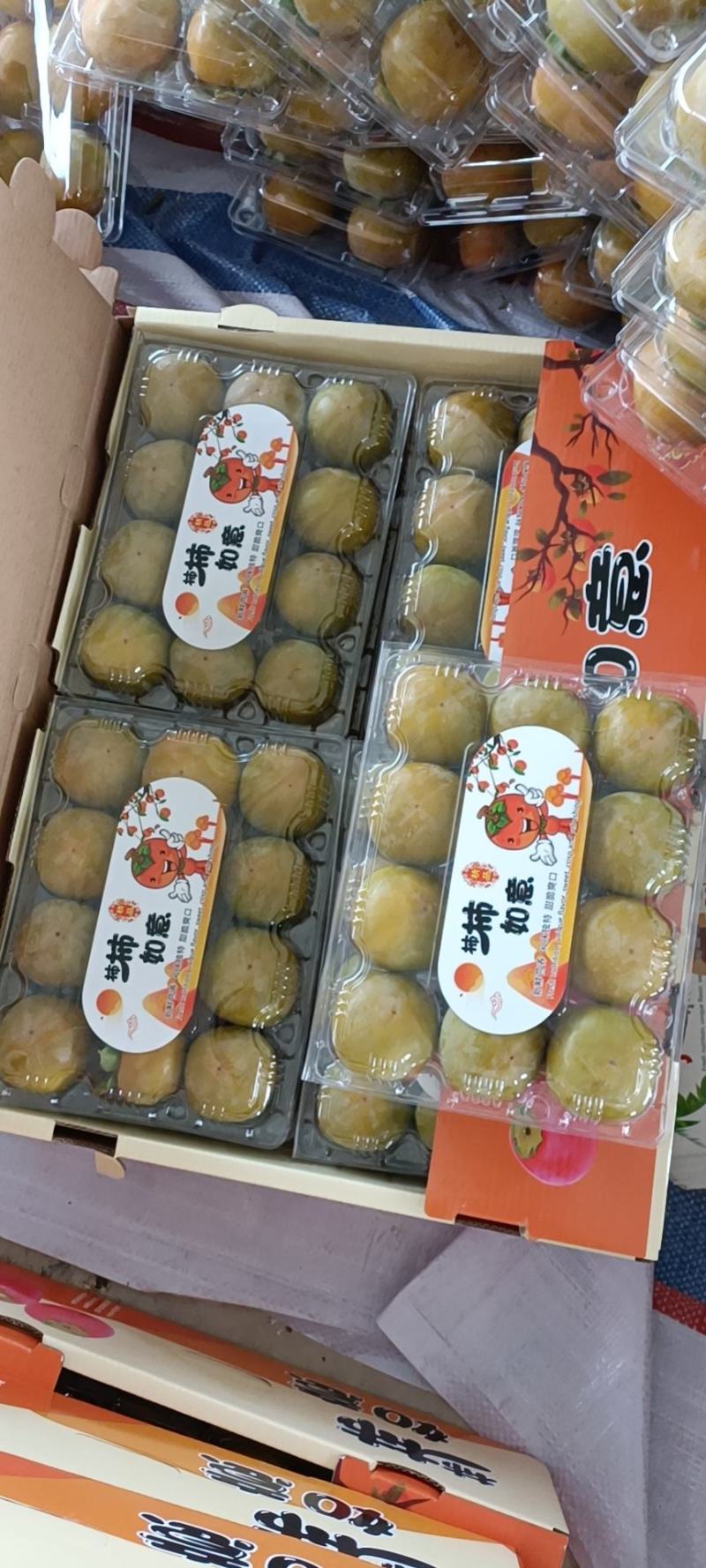 火晶柿子上市啦对接电商团购供应链，行情稳定货量充足！