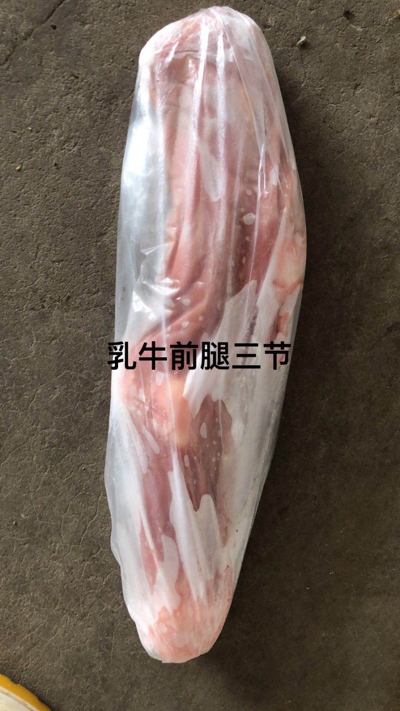 【血清精品乳牛腿】厂家货源稳定，大量货源，全国发货