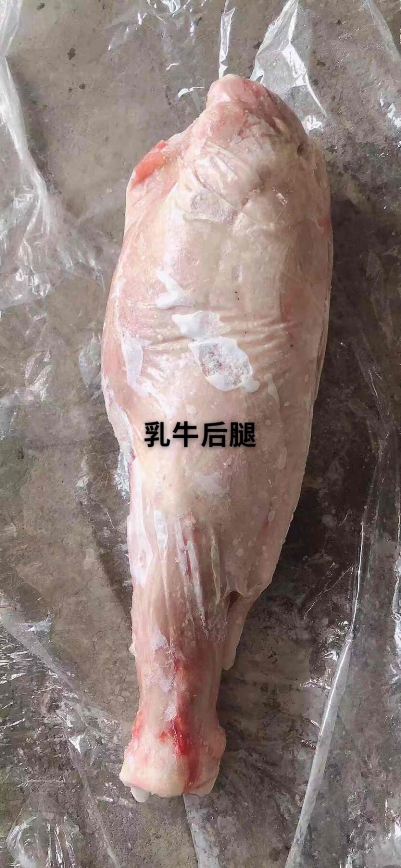 【血清精品乳牛腿】厂家货源稳定，大量货源，全国发货