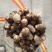 湖南芋头优质8520芋头大量上市，一手货源，保证质量