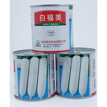 白福美韩国进口长白萝卜种子耐寒耐抽苔原装发货50克包邮